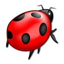 1573-bug..png