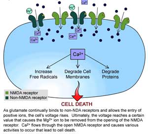 4561 Cellular Receptor