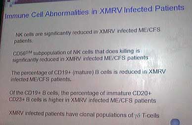 4803-XMRVSantaRosaImmuneCells.JPG