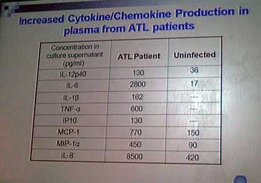 4807-XMRVSantaRosaCytokines.JPG