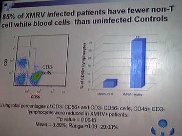 4810-XMRVSantaRosaWBCs.JPG